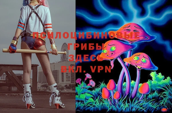кристаллы Вяземский