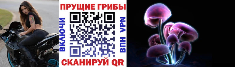 Псилоцибиновые грибы мухоморы  где найти   Черногорск 